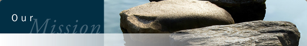 NCI's Mission