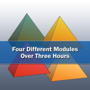 Path to Performance with NCI's 4-D Business Model